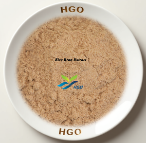 Suministro Directo de Fábrica HGO de Extracto Puro y Natural de Salvado de Arroz, Grado Alimenticio, Especificaciones 5:1, 10:1, 20:1 - Product Image 1