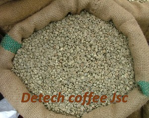 เมล็ดกาแฟอาราบิก้าเขียวพิเศษ ได้รับการรับรองมาตรฐาน ISO จากซอนลา เวียดนาม คุณภาพสูง ราคาถูก บรรจุภัณฑ์แบบถุง เกรด A+ ในปี 2026 - Product Image 4