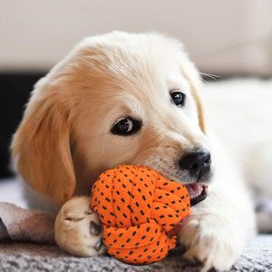Corde à mâcher en coton nouée de qualité supérieure pour chiens, jouet de nettoyage dentaire et d'entraînement pour chiots et chiens, simple, en PU, vente en gros - Product Image 1