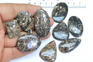 Magnifique agate Turritella, pierre précieuse, taille personnalisable, cabochon d'agate Turritella en vrac, formes variées pour la création de bijoux - Product Image 5
