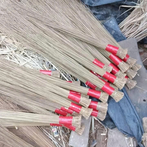 มะพร้าวแท่งพรีเมียมจากเวียดนาม สำหรับตกแต่งขนมหวานระดับกูร์เมต์ และใช้ในบุฟเฟ่ต์ผลไม้เพื่อสุขภาพ โดย 99 โกลด์ ดาต้า - Product Image 1