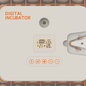 Incubatrice Automatica per 56 Uova con Controllo Digitale dell'Umidità, per Uova di Pollo, Anatra e Oca, Struttura in PC per Maggiore Durata - Product Image 5