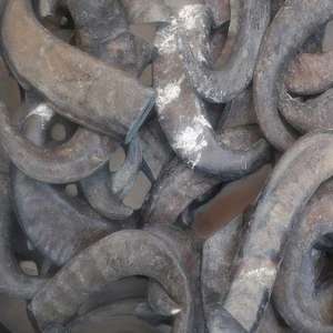 เขาควาย/วัวดิบ ขนาด 10-30 ซม. ขาย - Product Image 3