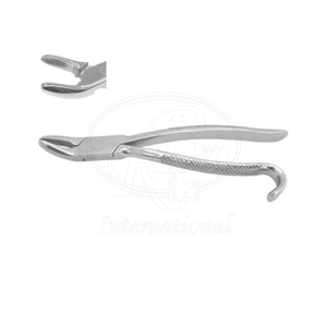 Forceps d'extraction dentaire équine Wolf Tooth en acier inoxydable, 12 pouces, outil d'extraction dentaire vétérinaire pour chevaux - Product Image 3