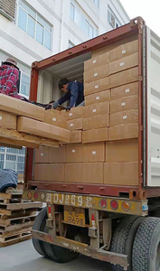 Fabrik-Sternprodukt 2025 Ab 2026 Extra Große Wasserdichte PVC-Katzenstreu-Matte Korea und USA Bestseller Modell - Product Image 4