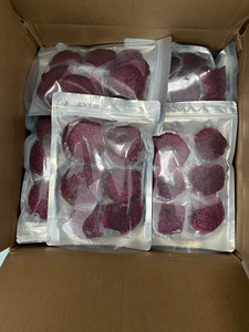 Soft Dried Dragon Fruits High Quality Dehydrated Dragon Fruit | 100% Natural Vietnam Origin | Export Grade B2B - Product Image 5