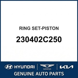 Cadenza Nouveaux pistons et segments 230402C250 - Product Image 1