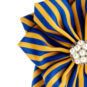 Broche à revers pied-de-poule Sigma Gamma Rho, bleu et or, accessoire de mode, bijou élégant, badge décoratif, personnalisable, vente en gros, OEM - Product Image 5
