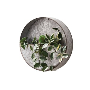 Jardinière suspendue style ferme en métal galvanisé pour intérieur et extérieur, pot décoratif mural pour plantes aromatiques avec finition lavée - Product Image 6
