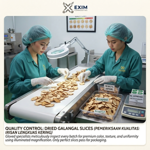 Galangal frais de qualité supérieure 1 kg, rhizomes d'épices naturelles soigneusement triés, prêts pour l'expédition internationale - Product Image 4