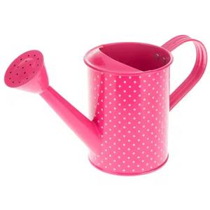 Arrosoir en métal au design attrayant, outil professionnel pour l'arrosage des plantes - Product Image 5