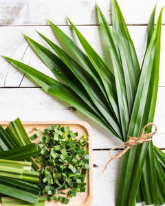 Hojas frescas de pandan de Vietnam – Hierba aromática natural para uso en alimentos y bebidas - Product Image 6