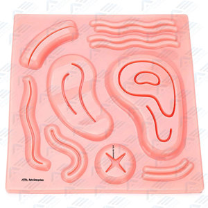 Kit complet d'entraînement à la suture de haute qualité pour étudiants en médecine et chirurgiens - Product Image 4