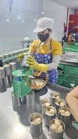 OEM vietnamien ODM emballé en conserve litchi fruits de haute qualité Lichi conservé fraîcheur pour iceream ou boire