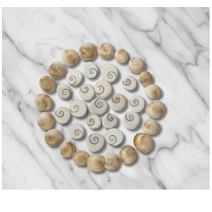 Ensemble de 21 coquillages naturels Gomti Chakra pour décoration inspirée du Vastu, présentoir pour étagère, table, maison, bureau, spirituel traditionnel - Product Image 2