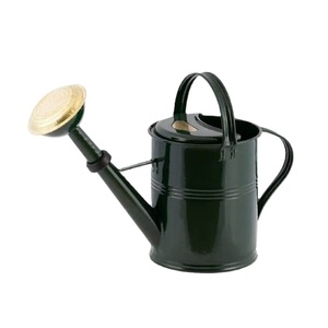 Magnifique arrosoir en fer et métal argenté, fait main, pour plantes, fournitures de jardin, arrosoirs à verser facilement - Product Image 4