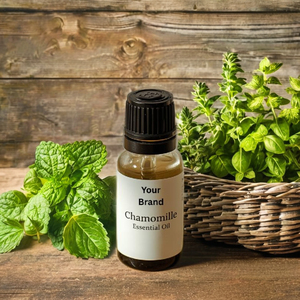 ODM/OEM Pure German Chamomile Essentia Oil GMP Certified Steam Distilled <b>Sweet</b> Applelike Odor OEMODM Available Supplied by Nepal - Product Image 6