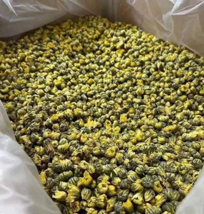 ชาดอกเบญจมาศเวียดนามแบบแห้ง ดอกไม้แห้งทั้งดอก สำหรับชงดื่มทุกวัน ดอกตูมแห้ง แพ็คขายส่ง - Product Image 5