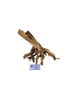 Décoration d'aquarium en bois flotté naturel de différentes tailles, forme irrégulière, écologique, ornement pour aquarium, produit du Vietnam - Product Image 5