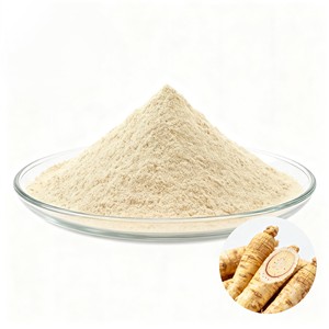 Extrait de ginseng Panax haute puissance 10:1 en poudre, ginseng Panax cultivé naturellement pour soutenir l'énergie, la concentration et le bien-être - Product Image 4