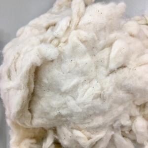 Sustainable Cotton Comber Noil and Pure <b>Bleached</b> Comber Noil Bale From Vietnam Cotton Spinning Mill Raw Pattern by Ms. Florence - Product Image 6