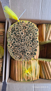 Canela en Barra Cruda Seca de Grado Premium para Cigarrillos, Especias Culinarias, Provincia de Lao Cai, Vietnam, 1 Año de Vida Útil, a Granel - Product Image 5