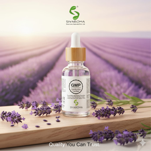 Huile Essentielle de Lavande Pure en Gros, Meilleure Vente, pour Tous Types de Peau, Beauté et Soins de la Peau - Product Image 6