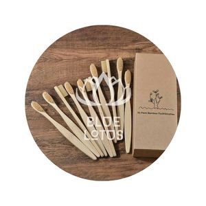[MEJOR VENTA] Cepillo de Dientes con Cerdas de Nailon para Limpieza Diaria, Cuidado Bucal, Tamaño Regular, Hecho en Ben Tre, Vietnam - Product Image 1