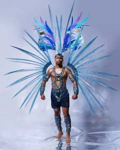 Accesorios para Disfraces <span class=keywords><strong>de</strong></span> <span class=keywords><strong>Carnaval</strong></span>, Pluma <span class=keywords><strong>de</strong></span> Faisán Natural <span class=keywords><strong>de</strong></span> 150 cm, Pluma <span class=keywords><strong>de</strong></span> Faisán Sintética Barata, Proveedor <span class=keywords><strong>de</strong></span> Plumas <span class=keywords><strong>de</strong></span> Faisán Artificiales - Product Image 6