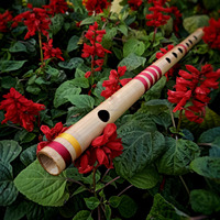 Flûte en bambou naturel-C # Flûte bansuri moyenne-C # Flûte en bambou professionnelle Hindustani à échelle moyenne