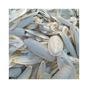 Os de seiche de haute qualité pour l'entretien des becs des oiseaux et le soutien en calcium - Product Image 1