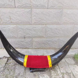 Ensemble de cornes de bœuf montées, écologiques, faites à la main, rustiques, modernes, polies, thème animalier, style western, pour décoration intérieure, Pâques - Product Image 1