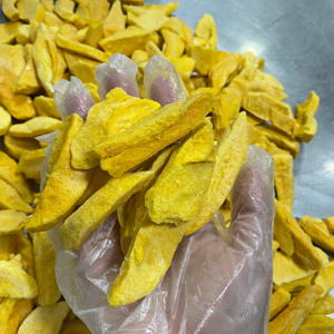 Mango Liofilizado Hecho con Rodajas de Mango Natural para Mezclas de Snacks y Decoración de Postres, Larga Duración de Vida Útil por 99 Gold Data - Product Image 1