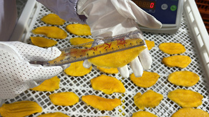 Tranches de mangue séchées moelleuses certifiées Halal, collations végétaliennes saines, fruits tropicaux déshydratés naturels, pack en vrac du Vietnam - Product Image 4