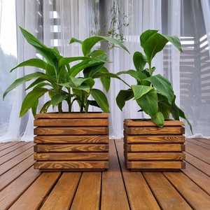 Maceta de latón chapada en oro tallada a medida, de la mejor calidad, para jardín, hogar, bonsái, ¡OFERTA ESPECIAL! - Product Image 1