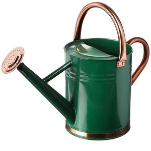 Nouvelle Arrosoir en Métal Tendance pour l'Entretien des Plantes de Jardin, Pot à Eau Durable avec Long Bec, Taille et Couleur Personnalisables - Product Image 6