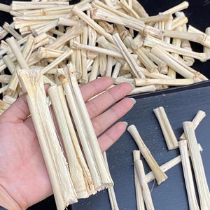 Venta de Alimento para Animales 2025, Bagazo de Caña de Azúcar Seco, Precio Económico desde Vietnam - Product Image 5