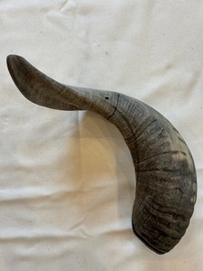 Corne de mouton brute de 20 pouces, toucher naturel, forme irrégulière, corne naturelle pour la sculpture, l'artisanat et les fournitures de bricolage - Product Image 6