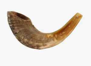 Corne à mâcher pour chien, écologique, durable, polie, de forme naturelle, sûre et sans odeur, pour la santé dentaire - Product Image 2