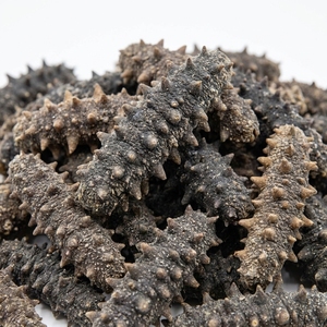 Pepino de Mar Negro / Pescado Teat con Alto Contenido de Proteínas 55% Proteína 500-600 USD/Tonelada MQO 10MT Suministro a Granel Grado Alimenticio Saludable - Product Image 1