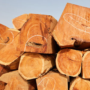 Blocs de bois industriels d'ébène durables de 6 pieds de long, bois de teck scié, bois de teck en vrac, en vente pour l'exportation - Product Image 1