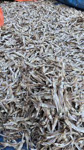 Anchois séchés entiers 5-8 cm, salés, riches en protéines, conditionnement en vrac, qualité standard - Product Image 6