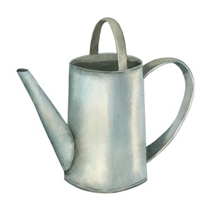 Regadera Contemporánea para Plantas con Diseño Elegante, Acabado Duradero y Agarre Cómodo, Perfecta para Hogares y Jardines Modernos - Product Image 3