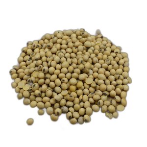 Graines de soja agricoles de qualité supérieure soigneusement sélectionnées pour la vente en gros, conformes aux normes de culture naturelle et de qualité propre - Product Image 4