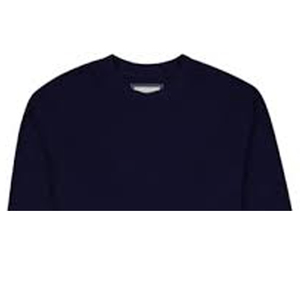 เสื้อสเวตเชิ้ตคอกลมผู้ชาย พรีเมียม ผ้าฝ้ายถักนิตติ้ง 100% น้ำหนัก 240 กรัม เป็นมิตรกับสิ่งแวดล้อม ระบายอากาศได้ดี ลายพิมพ์นูนแบบเรียบ - Product Image 5