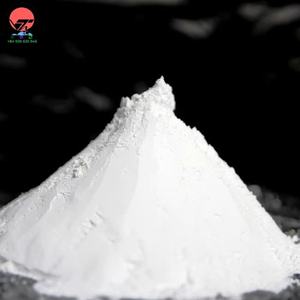 Carbonate de calcium de qualité supérieure pour des performances améliorées dans les revêtements et les peintures - Product Image 2