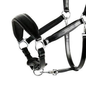 Nouvel Arrivage : Halter pour Cheval Hashmi Sons en Tissu Denim Personnalisable – Confort Optimal, Respirant, Séchage Rapide, Facile à Porter, Très Vendu - Product Image 4