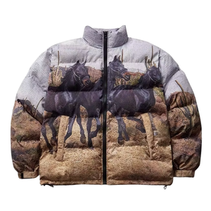 Blousons matelassés pour enfants, personnalisés haut de gamme, brodés en 3D, imperméables et coupe-vent, style streetwear rétro vintage, entièrement imprimés effet bulle - Product Image 1