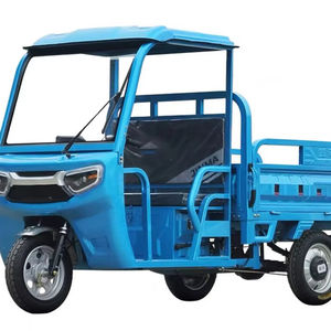 รถสามล้อไฟฟ้าบรรทุกสินค้า 3 ล้อ พร้อมบันไดอลูมิเนียมอัลลอยด์สำหรับพื้นที่เปิดด้านหลัง - Product Image 1