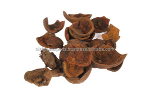 Zanthoxylum Armatum Tej Phal Tej Bal Tejphal Tejabala Darmar Fruit Dry Raw Herb Extracto de plantas al por mayor Producto a base de hierbas - Product Image 2